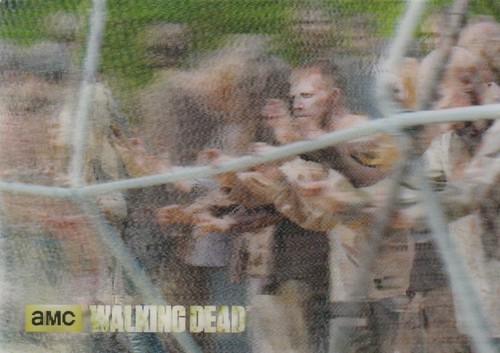 The walking dead - dead, dog